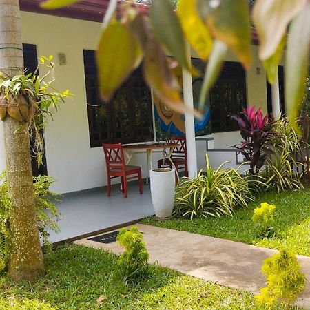 タンガラ Eco Nest Marakolliya Bed & Breakfast エクステリア 写真