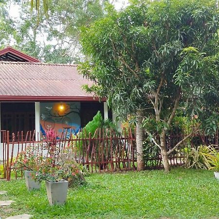 タンガラ Eco Nest Marakolliya Bed & Breakfast エクステリア 写真