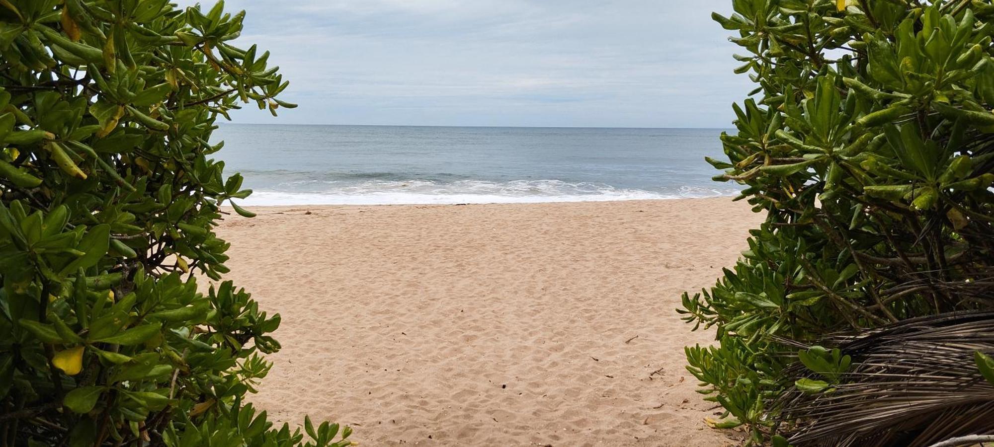 タンガラ Eco Nest Marakolliya Bed & Breakfast エクステリア 写真
