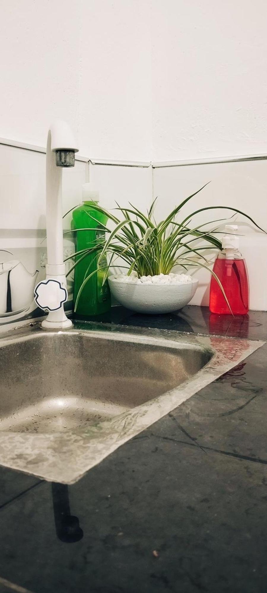 タンガラ Eco Nest Marakolliya Bed & Breakfast エクステリア 写真