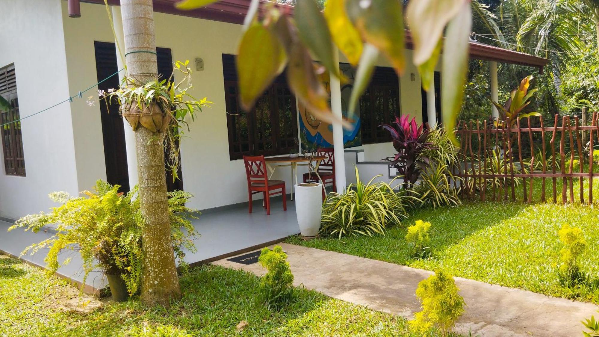 タンガラ Eco Nest Marakolliya Bed & Breakfast エクステリア 写真
