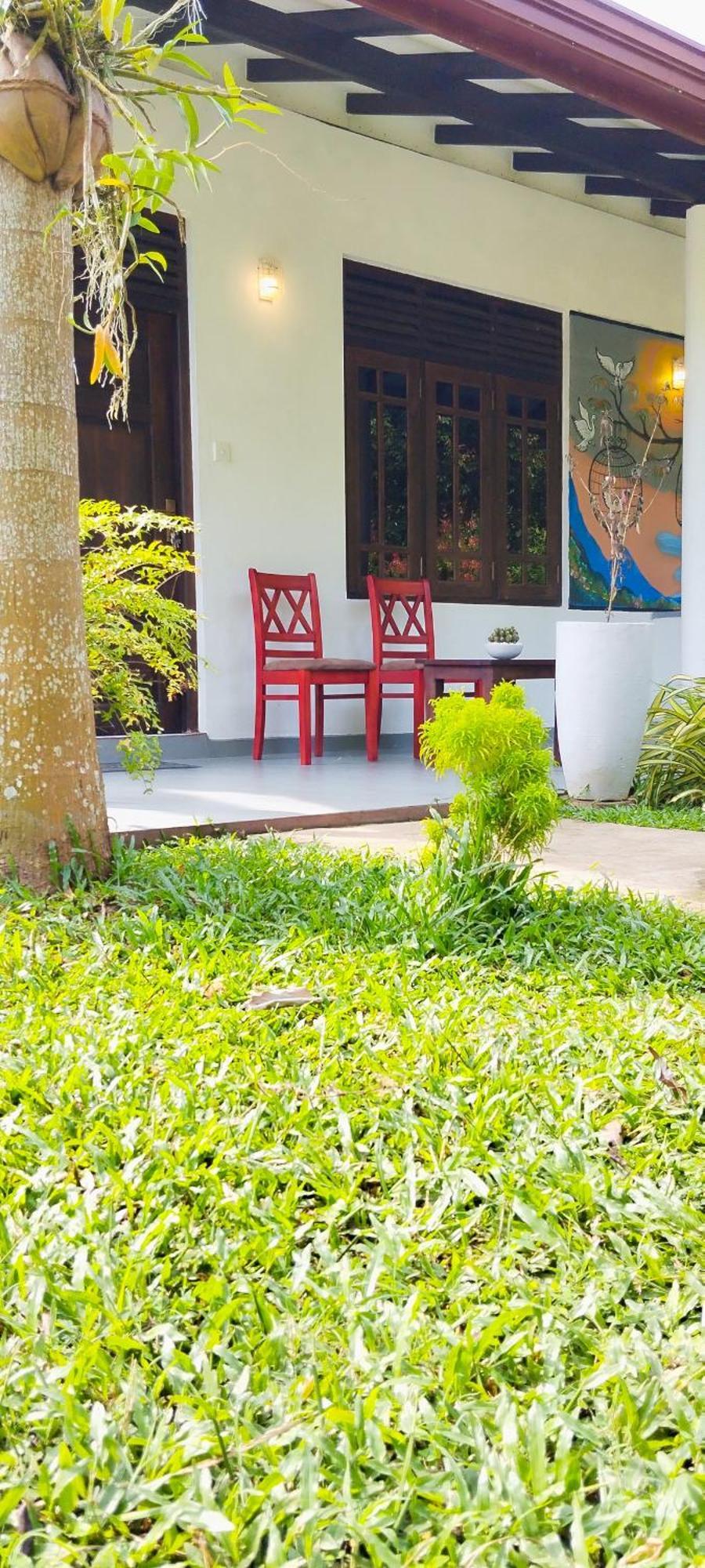 タンガラ Eco Nest Marakolliya Bed & Breakfast エクステリア 写真
